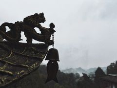 -青城山