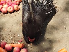 -青藏高原野生动物园