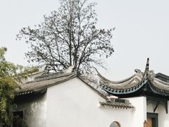 -茯茶镇