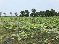 -滆湖低碳生态公园