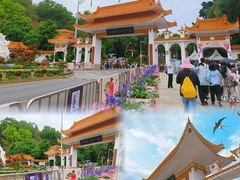 -深圳市中科院仙湖植物园