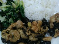 冬菇滑鸡饭-都城快餐(广大路店)