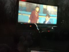 -枫花园汽车电影院(朝阳公园店)