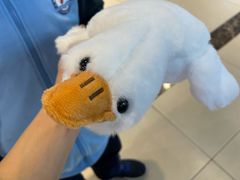 -+WAWA夹娃娃专门店·抓娃娃