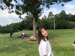 -仙湖旅游度假区