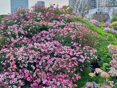 -首开·龙湖成都西宸天街
