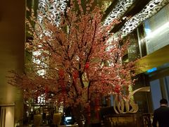 大堂-金轩中餐厅 Jin Xuan(浦东丽思卡尔顿酒店)