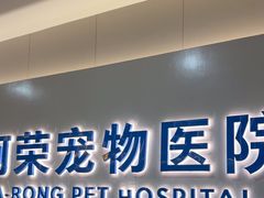 -阿荣24H宠物医院·综合型转诊中心·CT·核磁影像中心