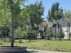 -野鸭湖国家湿地公园