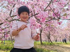 -天适樱花悠乐园