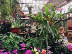 -秦美花卉(天朗·莱茵小城2期店)