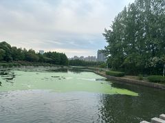 -滨湖塘西河公园