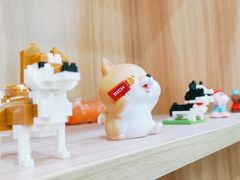 -瑞鹏宠物医院犬猫全科(真大分院)