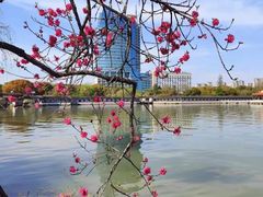 -无锡蠡湖国家湿地公园-蠡园