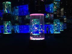 游乐设施-正佳极地海洋世界