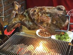 -海拉尔碳烤羊腿烤鸽子(吕营店)