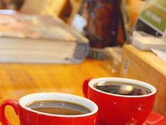 哥斯达黎加-参差咖啡(水果湖公园店)