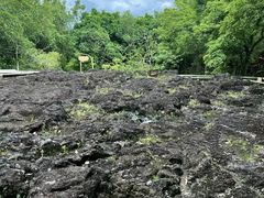 -海口火山口国家地质公园