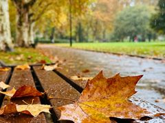 -汉长安城未央宫国家考古遗址公园