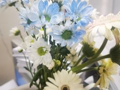 -循礼门鲜花花市(武汉循礼门店)