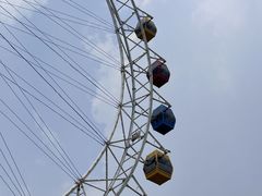 -上海野生动物园