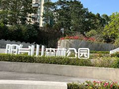 -阳台山森林公园