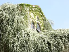-府河摄影公园