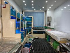 -大金山酒店