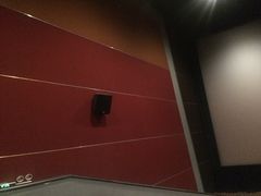 -金逸影城(光美嘉瑞宝MX4D店)