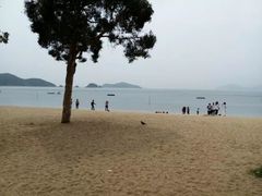 -九龙公园