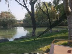 -贡湖湾湿地公园