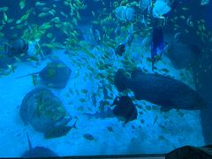 -太平洋海底世界博览馆·展览厅