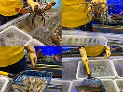 -喜碧海鲜·二十年本土海鲜老字号(上排店)