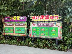 -广州长隆飞鸟乐园