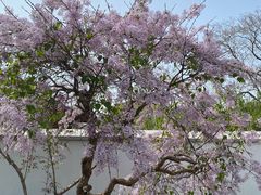 -北京鲁迅博物馆(北京新文化运动纪念馆鲁博馆区)