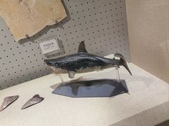 -辽宁古生物博物馆
