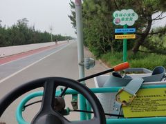 -日照海滨国家森林公园