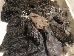 -海底捞火锅(高新万达店)