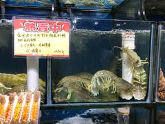 -蚝专家(北滘店)