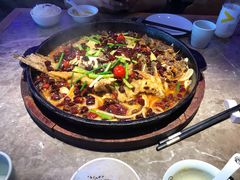 -老板恋上鱼(恒隆广场店)