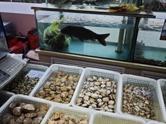 -金沙滩海鲜餐厅·海肠捞饭·手工水饺(梅江龙水园店)