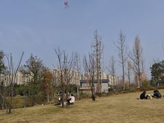 -两河城市森林公园