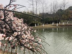 -白塘生态植物园