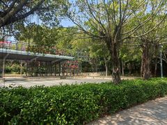 -深圳湾公园(南山区)