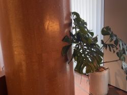 -上海时光整形外科医院