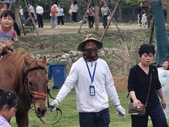 -武汉紫薇都市田园