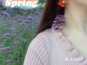 呼吸春天的花海-深圳湾公园 流花山