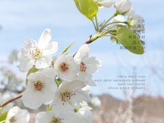 -北京金海湖景区