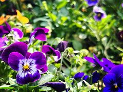 -广州国际生物岛