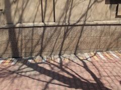 -辽宁大学(崇山校区)